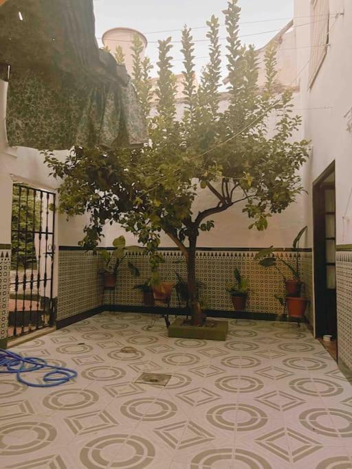 Vila La Casa De Manolita Baena Exteriér fotografie